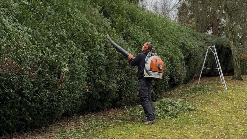nettoyage-haies